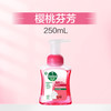 滴露 泡沫抑菌洗手液250ml