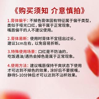 【2支】口红不掉色不沾杯显色女主角雾吻口红丝绒雾面哑光偏干性