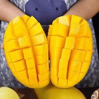 花慕辰云南大青芒果新鲜采摘水果当季青皮 9斤装 单果400g+ 包装 新鲜大青芒 净重8.5斤