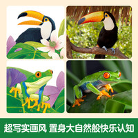 乐乐趣 傲游猫百科翻翻书0-少儿科普启蒙翻翻立体书认识自我幼儿园绘本科普 小兔比利和朋友们~小老虎托比