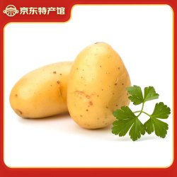 鸢语 山东新鲜土豆 精品土豆中果5斤