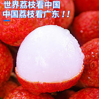 京地达荔枝增城仙进奉荔枝净重9斤单果22g+新鲜荔枝水果源头直发 白糖罂4.5斤【精美礼盒超值装】