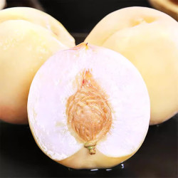 静益乐源 丹江奶油白桃 净重5斤大果（8-14个）单果120-150g