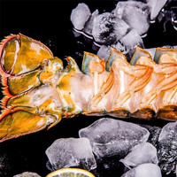 鲟好物 波士顿龙虾大波龙 冰鲜冷冻澳洲大龙虾虾类 3.6-4斤/只 1只大波龙【年夜饭】