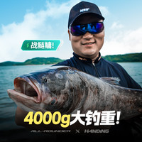 汉鼎全能战plus野钓手竿大综合竿鲢鳙竿鱼竿手杆超轻超硬钓鱼鱼竿