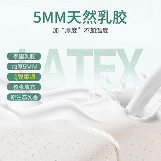 La Torretta凉席 A类凉感丝可水洗软凉席夏季床单席子单件 180*200cm薄荷绿 薄荷绿【A类凉感丝乳胶】-单件 200cm*180cm