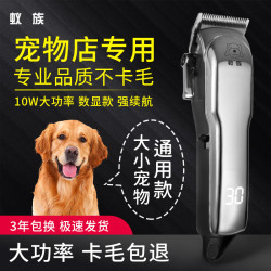 蚁族 专业宠物剃毛器狗电推剪大型犬金毛泰迪卷毛犬大功率电推 S10 大功率专业剃毛器