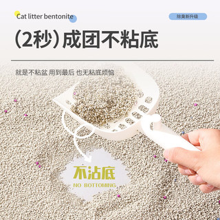贝初众猫砂次日达膨润土快速结团无尘除臭猫砂防臭狗砂猫沙猫用品 原味  膨润土猫砂