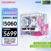七彩虹 COLORFUL iGame RTX 5060Ti 5070 Ti主机14600KF水冷台式diy组装电脑电竞游戏整机 14600KF丨16G丨512G丨4060主机