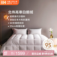 8H 鹅绒被 95%白鹅绒抗菌版被芯香槟色200*230cm填充1100g