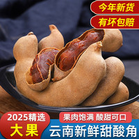 千柏山 酸角大甜角云南特产新鲜甜酸角酸甜角孕妇零食水果罗望子酸枣糕