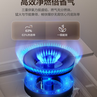  SUPOR/苏泊尔 双灶 燃气灶  天然气