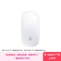 苹果 Apple Magic Mouse/妙控鼠标-银色 适用MacBook蓝牙鼠标