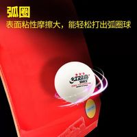 红双喜狂飙3乒乓球胶皮狂飚三粘性球拍反胶套胶普狂三狂3专业DHS