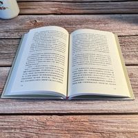 我与地坛 纪念版史铁生散文集灵魂代表作中国现当代文学