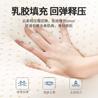 乳胶记忆棉床垫家用卧室租房榻榻米海绵垫子宿舍学生单人床褥垫子