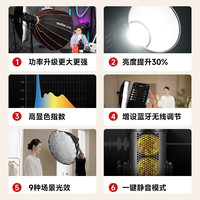 Godox/神牛 双色温 LED常亮灯+快装深口栅格柔光箱+柔光球