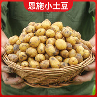 恩施小土豆顺丰包邮正宗高山现挖新鲜黄心土豆蔬菜士豆马铃薯洋芋