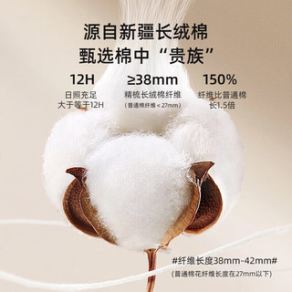 金号（KING SHORE）抗菌加厚全棉A类吸水毛巾纯棉吸水毛巾全棉舒适洗脸洗澡毛巾 抗菌/A类灰色 1条
