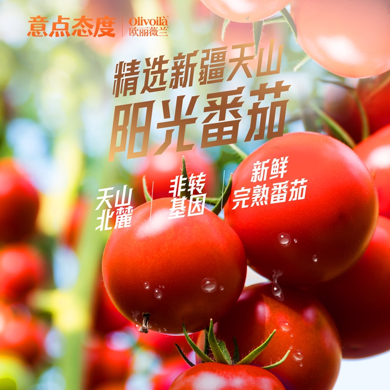 金龙鱼欧丽薇兰意点态度番茄肉酱意面280g好吃方便速食料多