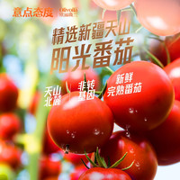 金龙鱼欧丽薇兰意点态度番茄肉酱意面280g好吃方便速食料多
