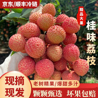 果淳乐 荔枝新鲜海南桂花香大荔枝 当季水果礼盒 250g装新鲜荔枝 尝鲜