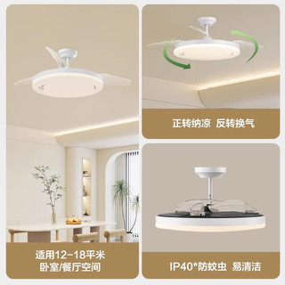  OPPLE/欧普照明 隐形无叶 风扇灯   1