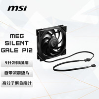 微星 MEG SILENT GALE P12 无光 120mm 机箱散热风扇 单个装