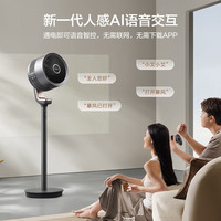艾美特 空气循环扇语音智能新款黑天鹅 FA20-SRDI156