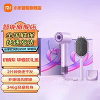 小米 Xiaomi MI）米家高速吹风机H501家用大风力