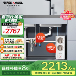 ANGEL 安吉尔 家用净水器全屋套装5年反渗透RO膜净水机厨下式过滤母婴直饮