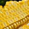 树悦 云南新鲜水果甜玉米 4-4.5斤精选装