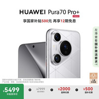 华为 HUAWEI Pura 70 Pro+ 手机 16GB+512GB 光织银