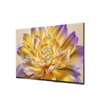 海信 Hisense 75E8Q-PRO 液晶电视 75英寸 4K