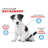ROYAL CANIN【付邮】皇家犬粮干湿粮搭配组合MEPW临期至25.10.27 0g