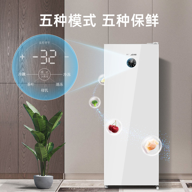 美菱 官方168L立式冰柜家用租房小型冷柜 风冷无霜一级冷冻小冰箱