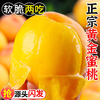蒲恋 桃 5斤精选装丨泡沫托丨净重4.5斤