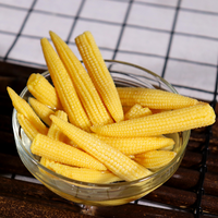 金君 星光金君牌玉米笋425ml5罐头粟米笋火锅炒菜炖汤出口小玉米笋罐头