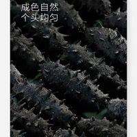 胖东来胖东来海参野I生海参干货大号海参干货非即食大连辽参纯淡干 深海野生海参/纯淡干海参 【高端礼盒装】一斤约240-280只