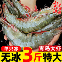 北海湾 气冻大虾 3斤(净重)  15-17cm