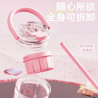 PAKCHOICE水杯高颜值2025食品级tritan女生便携水壶夏日吸管杯子 蓝色【三饮+茶仓+拎手】650ml