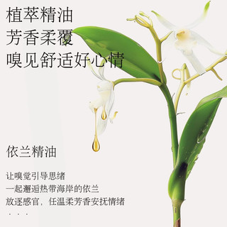  功夫本色 持久留香 香水洗衣液