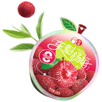 和成东魁杨梅 无添加防腐无香精无色素蜜饯果干休闲零食