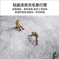 布迪思地毯客厅卧室现代简约风沙发茶几垫满铺加厚可大面积床边毯 轻奢30 200cm*300cm 1件