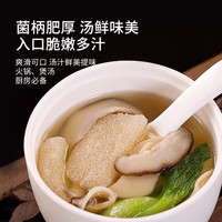 兮舒汝头茬羊肚菌山珍菌菇干货特产南北干货 煲汤火锅食材炖鸡煲汤 竹荪20g*2袋【净重】