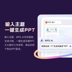 wps 含超级会员所有功能+WPS AI WPS大会员年卡
