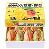 精选攀枝花凯特芒果4.5斤 （单果600g-1200g+）特大果