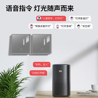  fdd/国际电工 远程语音控制 智能开关