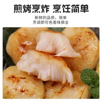 朵芙冷冻扇贝柱大号500g 火锅烧烤食材原浆扇贝柱 瑶柱 生鲜贝类 扇贝柱500g(40/60规格)
