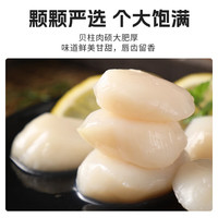 朵芙冷冻扇贝柱大号500g 火锅烧烤食材原浆扇贝柱 瑶柱 生鲜贝类 扇贝柱500g(60/80规格)